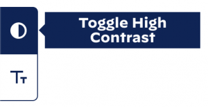 Toggle High Contrast ボタンイメージ