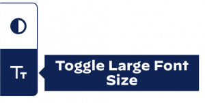 Toggle Large Font Size ボタンイメージ